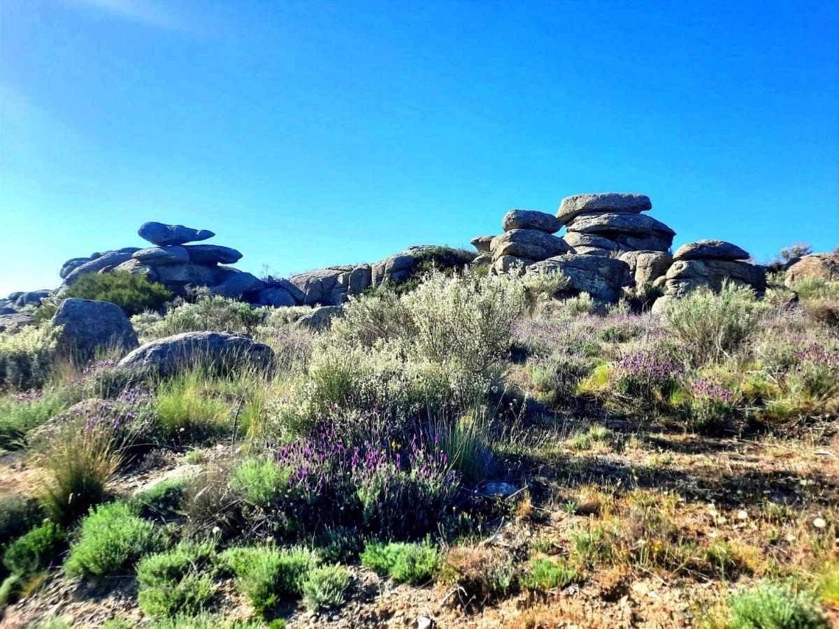 Navaquesera Mirador De Gredos Ávila Εξωτερικό φωτογραφία